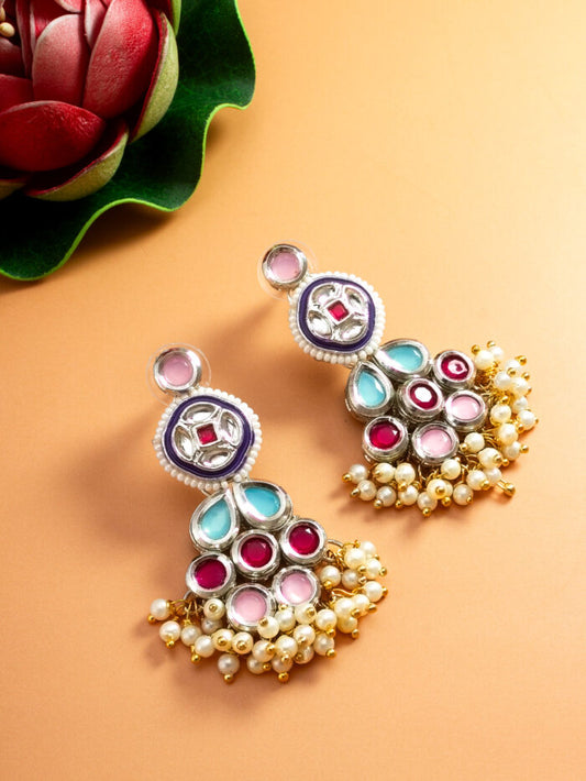 Charming multicolor Earrings ( PZ 63 )